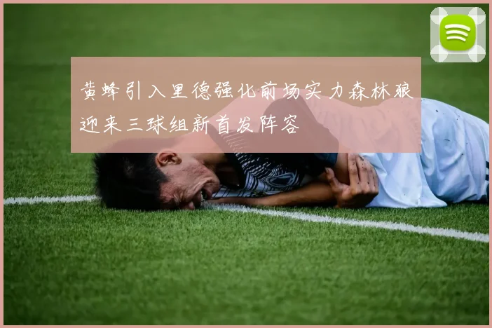 黄蜂引入里德强化前场实力森林狼迎来三球组新首发阵容