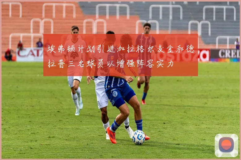 埃弗顿计划引进加拉格尔麦金和德拉普三名球员以增强阵容实力