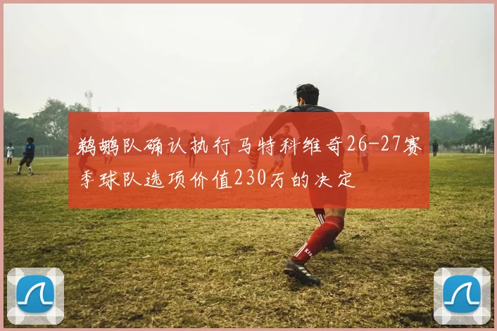 鹈鹕队确认执行马特科维奇26-27赛季球队选项价值230万的决定